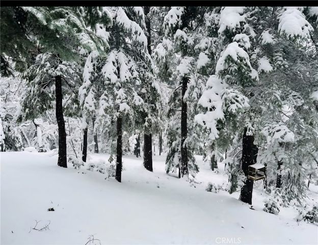 628 Rose Lane, Twin Peaks, CA 92391