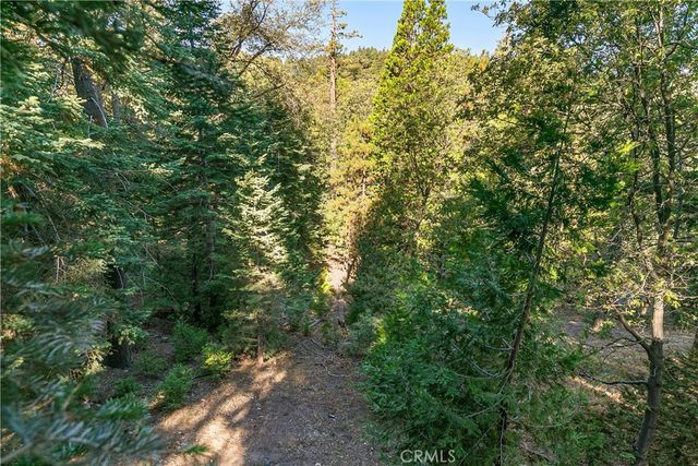 628 Rose Lane, Twin Peaks, CA 92391