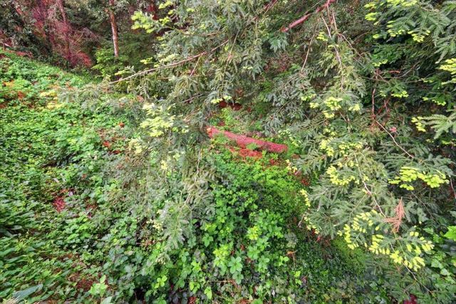 18285 China Grade, Boulder Creek, CA 95006
