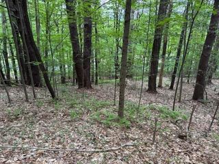 56 Brattleboro Rd, Bernardston, MA 01337