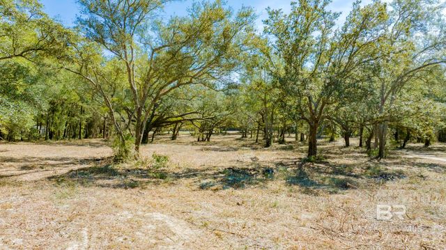 00 County Road 99, Lillian, AL 36549