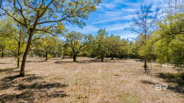 00 County Road 99, Lillian, AL 36549