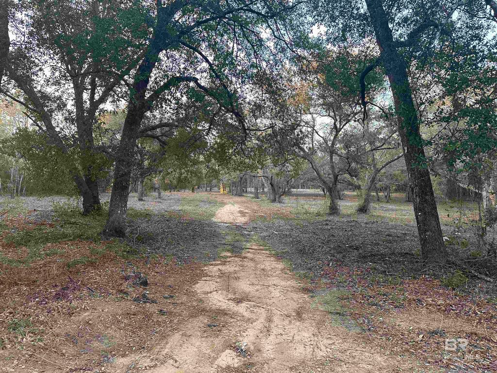 00 County Road 99, Lillian, AL 36549