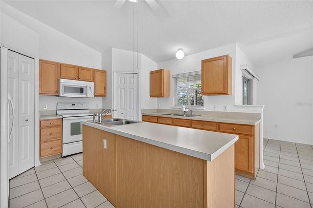 615 BRIARCLIFF ROAD, Eustis, FL 32726