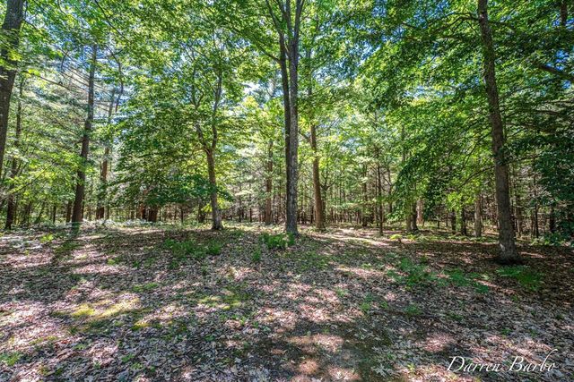 4561 N Pine Avenue, Mears, MI 49436
