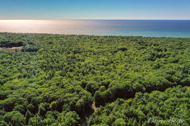 4561 N Pine Avenue, Mears, MI 49436