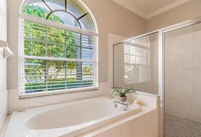 4205 MAST COURT, Land O Lakes, FL 34639