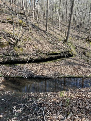 105 Sickler Rd, Hohenwald, TN 38462