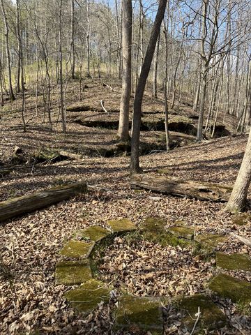 105 Sickler Rd, Hohenwald, TN 38462