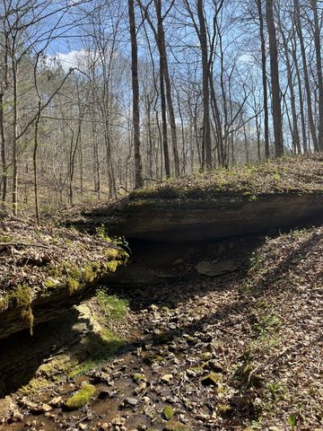 105 Sickler Rd, Hohenwald, TN 38462