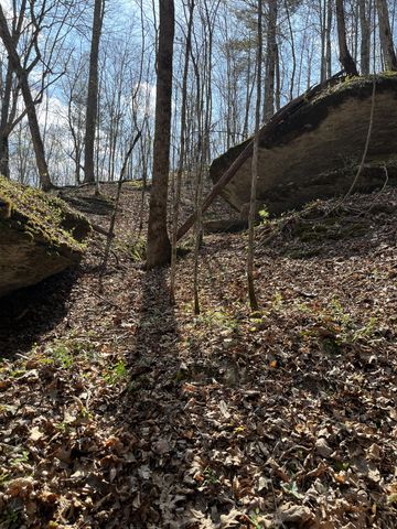 105 Sickler Rd, Hohenwald, TN 38462