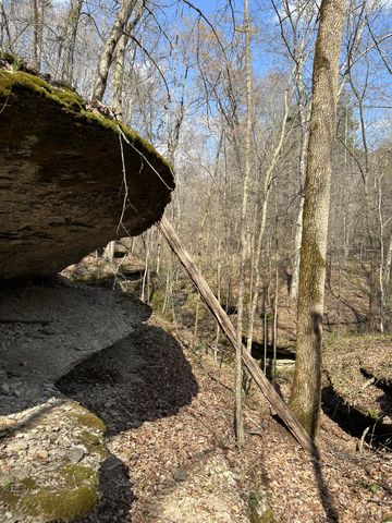 105 Sickler Rd, Hohenwald, TN 38462