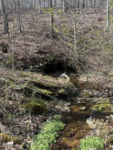 105 Sickler Rd, Hohenwald, TN 38462