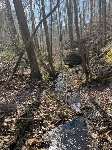 105 Sickler Rd, Hohenwald, TN 38462