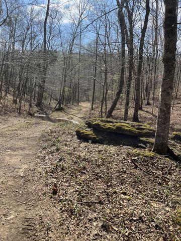 105 Sickler Rd, Hohenwald, TN 38462