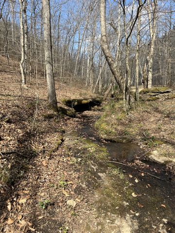 105 Sickler Rd, Hohenwald, TN 38462