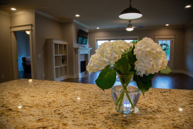 3552 Morning Dew Cove, Apison, TN 37302