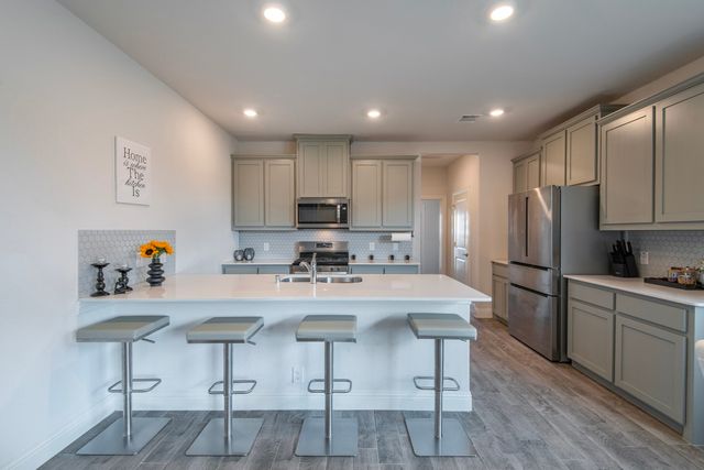 6017 Wildflower Way, Little Elm, TX 76227
