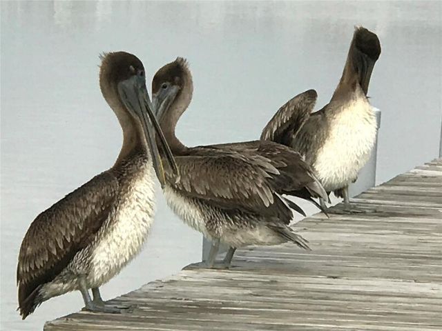 255 County Road 209, Sargent, TX 77414