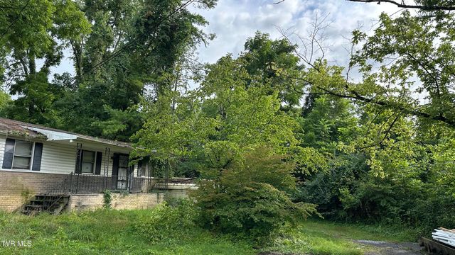2407 West Walnut Street, Johnson City, TN 37614