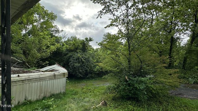 2407 West Walnut Street, Johnson City, TN 37614