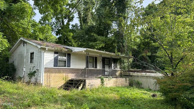 2407 West Walnut Street, Johnson City, TN 37614