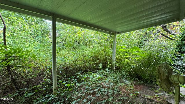 2407 West Walnut Street, Johnson City, TN 37614