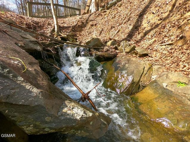1110 Ski Mtn Road, Gatlinburg, TN 37738