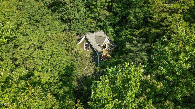 1110 Ski Mtn Road, Gatlinburg, TN 37738