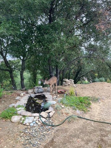 6425 San Juan Canyon Road, San Juan Bautista, CA 95045