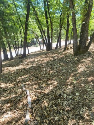 3059 Riviera Heights, Kelseyville, CA 95451