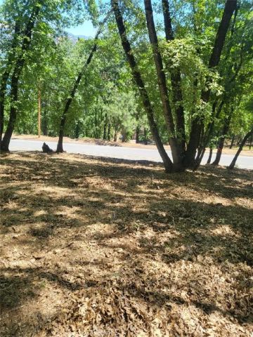 3059 Riviera Heights, Kelseyville, CA 95451