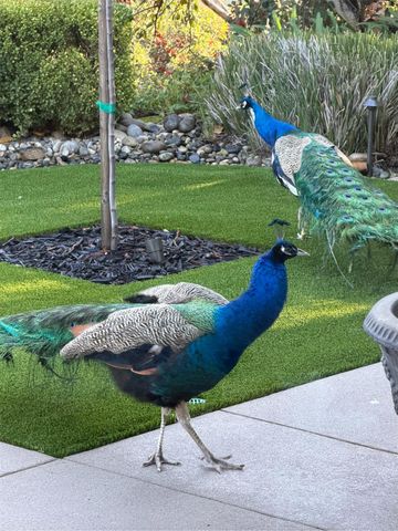 21998 Brighton Crest Drive, Friant, CA 93626