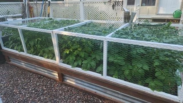 925 14th Street, Cloquet, MN 55720