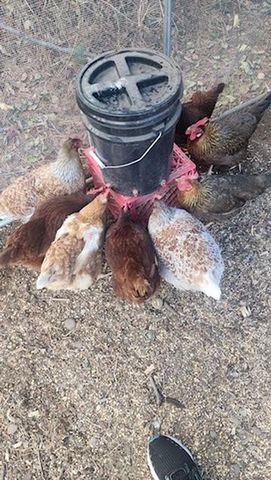 925 14th Street, Cloquet, MN 55720