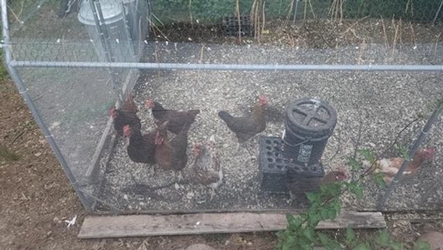 925 14th Street, Cloquet, MN 55720