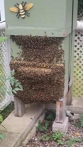 925 14th Street, Cloquet, MN 55720