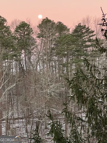 131 Talona Lake Terrace, Ellijay, GA 30536