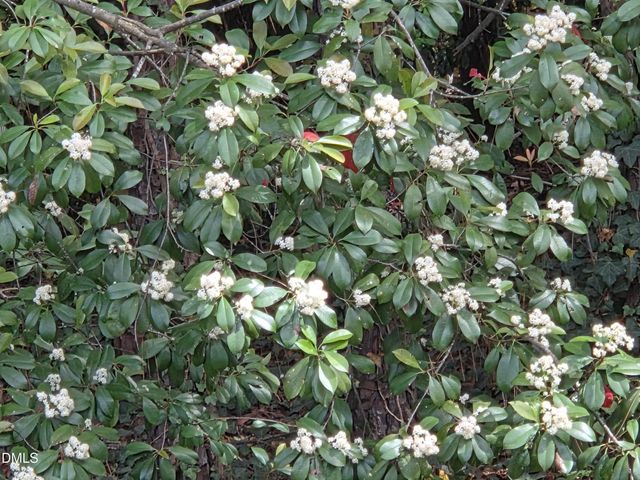 2716 Rue Sans Famille, Raleigh, NC 27607