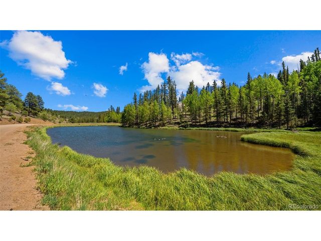 506 Ridge Rd, Divide, CO 80814