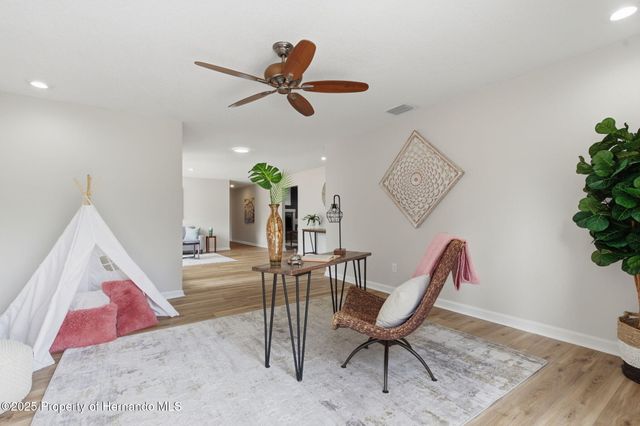 916 River Rapids Avenue, Brandon, FL 33511