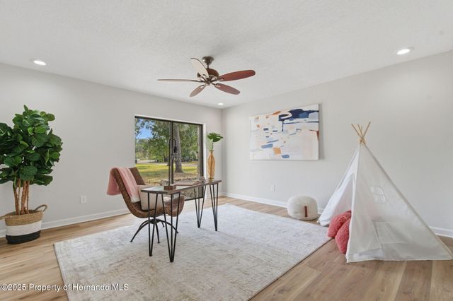 916 River Rapids Avenue, Brandon, FL 33511