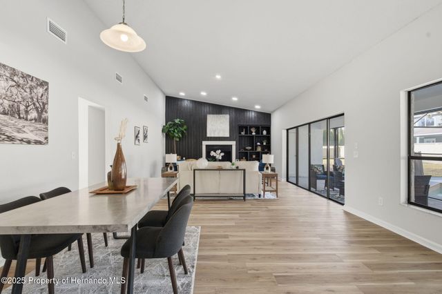 916 River Rapids Avenue, Brandon, FL 33511