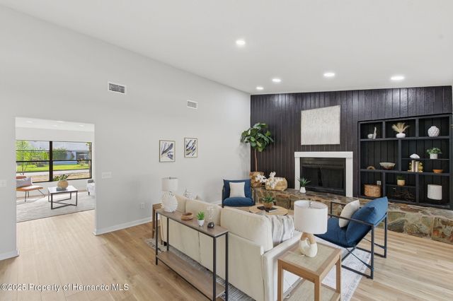 916 River Rapids Avenue, Brandon, FL 33511