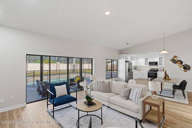 916 River Rapids Avenue, Brandon, FL 33511