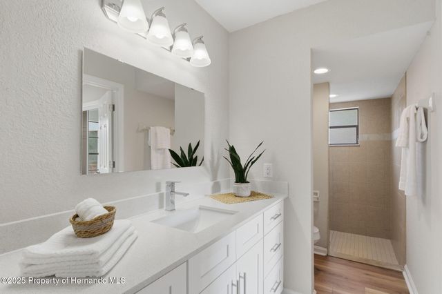 916 River Rapids Avenue, Brandon, FL 33511