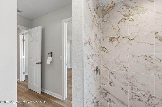 916 River Rapids Avenue, Brandon, FL 33511