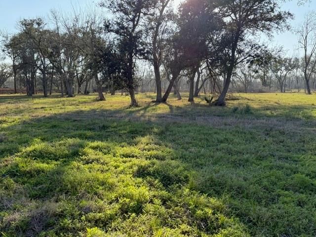 31810 Amberjack Drive, Richwood, TX 77515
