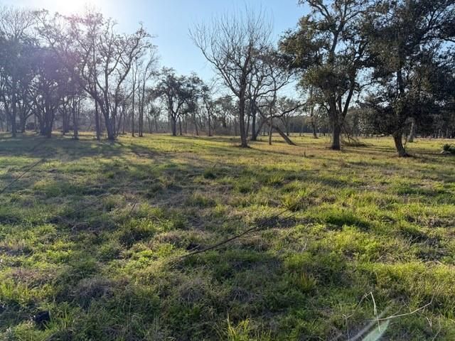 31810 Amberjack Drive, Richwood, TX 77515