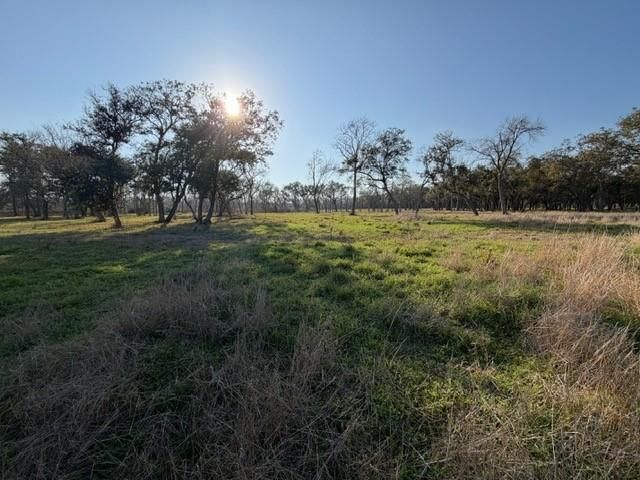 31810 Amberjack Drive, Richwood, TX 77515